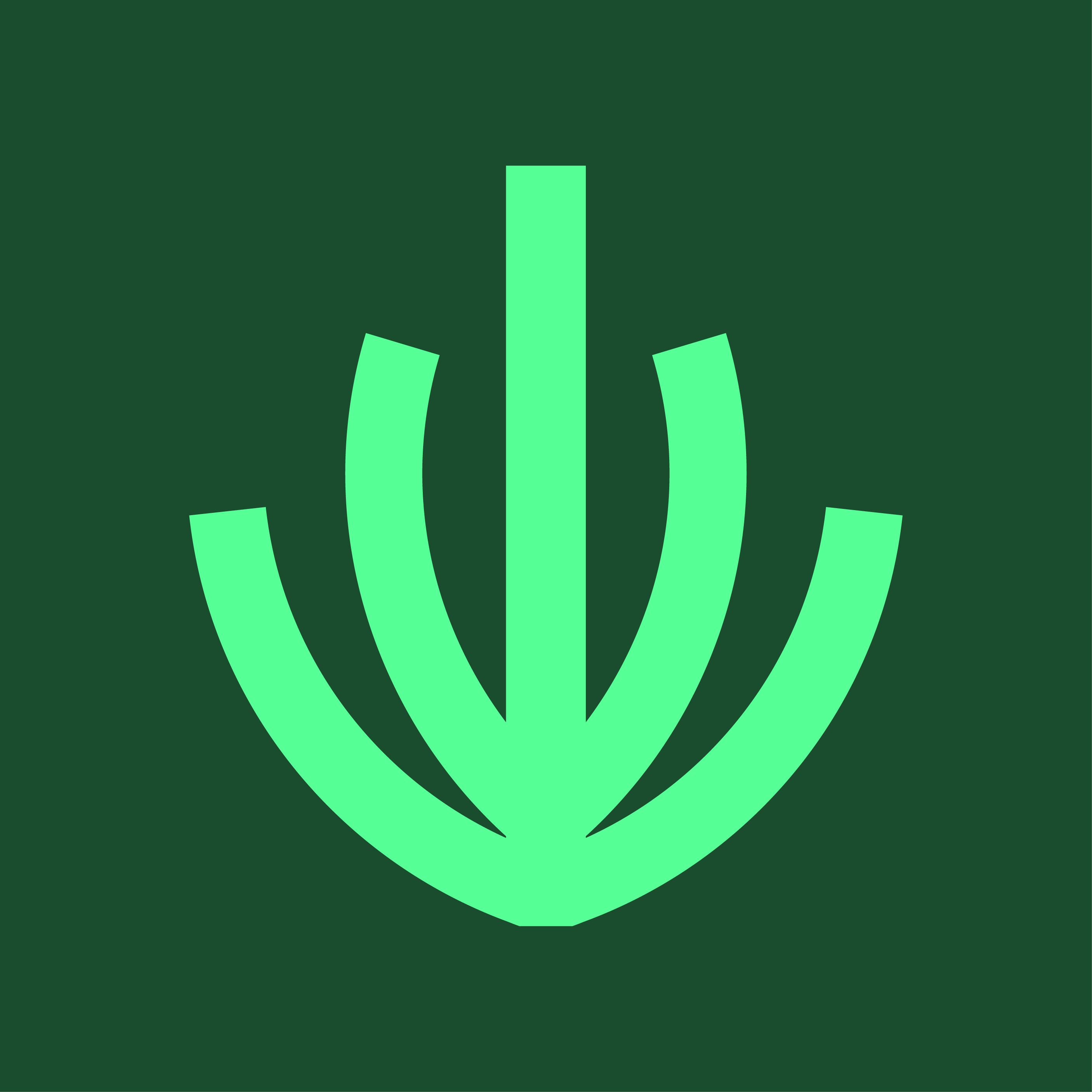 Spruce